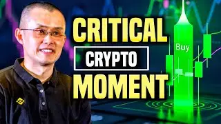 КРИПТООБВАЛ стал критическим для Crepe Coin и Dew Token, Wikicat Coin | КРИТИЧЕСКАЯ рыночная точк...