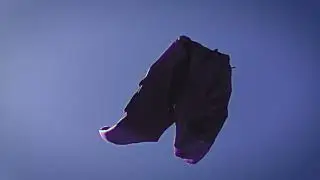 PURPLE INITIATIVE