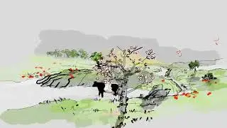 Belted cow alone