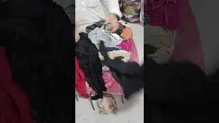 ونٹر پانچوں کریم k555 اسٹیکر 40 کلو بنڈل میں 90 دانہ نکلا ریٹ 10000 رابطہ 03456073705