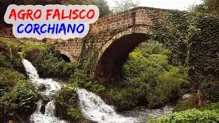 Agro Falisco Corchiano 20240323