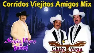 Top Grandes &Eacute;xitos de Chuy Vega y Sergio Vega / Corridos Viejitos Mix