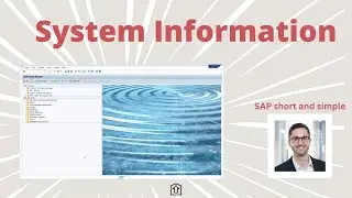 Have you already seen this? System Information in SAP GUI