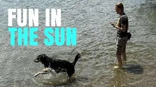 Adoptable Shelter Shepherd Dog Gets The Day Of His Life: Swimming, Hiking, Play, Bones, and LOVE!