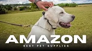 Garmin Sport PRO Review: The Best 1-Handed Dog Training Collar? 🐶🎯