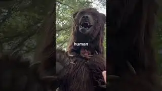 Spot The Fake Animal For $10,000#mrbeast #shorts#yyshort #ynf #zboys