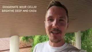 HEALTHY RAW FOOD DIET FUNDAMENTALS