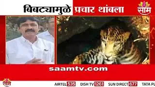 Special Report | जुन्नरमध्ये बिबट्यामुळे प्रचार थांबला | Junnar Leopard News