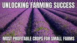 Most Profitable Crops To Grow On A Small Farm