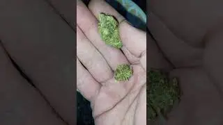 Arete Hemp, Laughing Buddha, CBD/THCA hemp flower (is it good?)