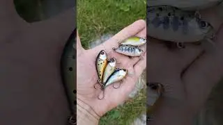 Mix of lures