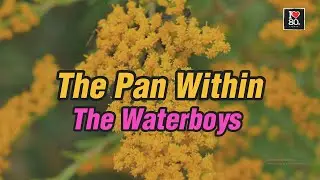 The Waterboys - The Pan Within [Karaoke New Wave HD]