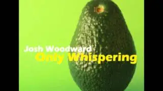 Josh Woodward - Fit for a King