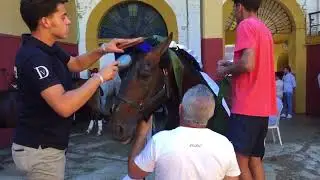 CABALLOS DE REJONEO DIEGO VENTURA, ANDY CARTAGENA , ANDRÉS ROMERO COLOMBINAS 19 HUELVA, PREPARACIÓN