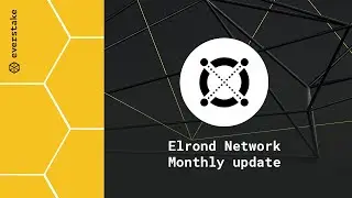 Elrond Network November 2021 Recap