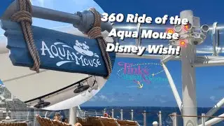 360 of The Aqua Mouse