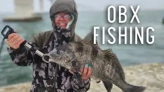 OBX Black Drum Catch, Clean, Cook & Sheepshead Fishing - Oregon Inlet Fishing, NC - Carolina Coast