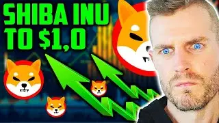 Alex Becker Revealed Shiba Inu Coin Will Hit $0.1 Soon!