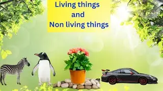 Science Learning : Living Things And  Non Living Things !!!