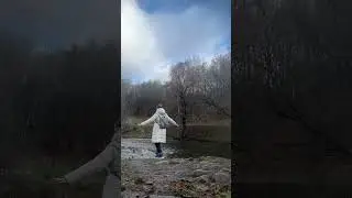 Прогулки поэта