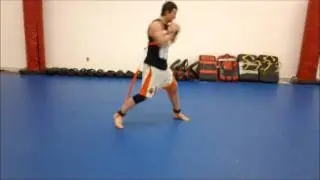 Introducing the Stroops Python Striker - MMA Speed Training
