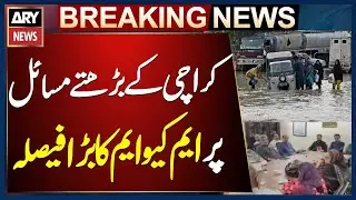 MQM decides to approach courts on issues in urban areas of Sindh