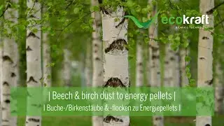 ECOKRAFT - Beech and birch dust to wood pellets