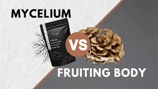 Medicinal Mushrooms: Which is better.. Mycelium or Fruiting Body?