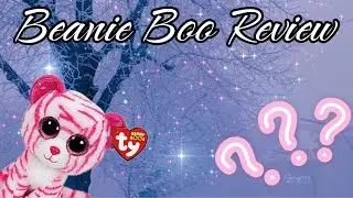 Beanie Boo Review | Beanie boo girl