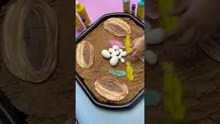 Early Maths and Fine Motor Skills Activities #earlylearning #sensoryactivities #toddlerlearning