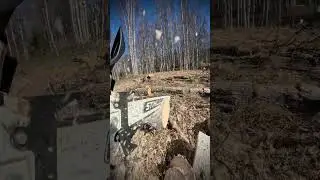 Chainsaw cookie cam, best cookie cutter! #shorts #stihl #ms462 #chainsaw #offgrid #firewood