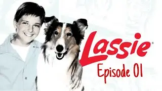 ලැසී | Episode 01 #foryou #sinhalacartoon 