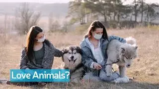 Get Certified in Dog Care and Training Easily and Affordably!