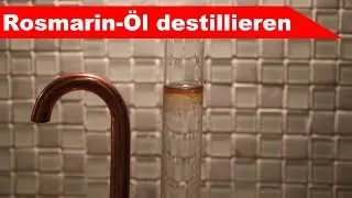 🌷 Frischen Rosmarin destillieren 🌻 - ätherisches Rosmarin-Öl selber machen Teil 1 - diSTILLed