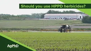Использование гербицидов HPPD (из Ag PhD Show #1134 - дата выхода в эфир 29.12.19)