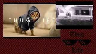 Ivo Bascherini Thug Life Quando cerchi di colpire tuo fratello