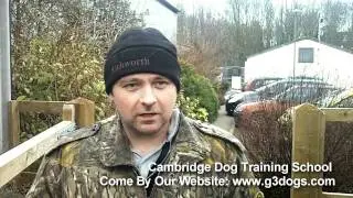 G3 Dogs - Cambridge Dog Training School - Testimonial