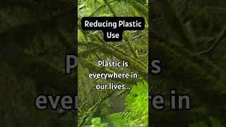 Reducing Plastic Use, Helping Nature