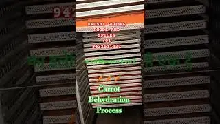 Carrot Dehydration Processing for Exports