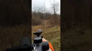 SUPER TIR D'UNE B&Ecirc;TE ROUSSE PLEIN GAZ ! #hunting #chasse #sanglier