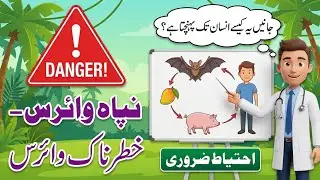 🚨 Nipah Virus Alert! Yeh Khatarnak Virus Insaan Tak Kaise Pohanchta Hai? | Bachao Zaroori ha