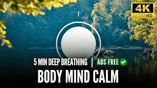 Relax Body & Mind | Resonance Breathing in 5 Minutes