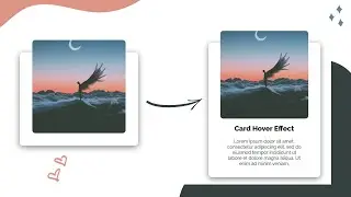 CSS Card Hover Effects | create website using html and css