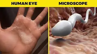 Top 15 Things That Are HIDDEN From The Naked Eye | part 2