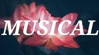 Lights Of Elysium🎧 - Aer&oslash;head🎶 [No Copyright Music]🎵