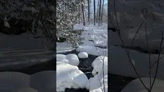 Canadian Winter is magical&hellip;.
