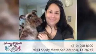 Grooming By Marsha   Pet Groomers in San Antonio copy