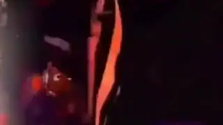 shark bait pufferfish carrot meme