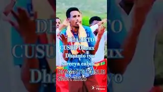 Dhaanto  Cusub  short 11