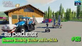 Weeds Grown in the Crop are Removed with Weeder and Herbicides / #120 /#farmingsimulator19timelapse